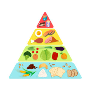 pirâmide de introdução alimentar infantil